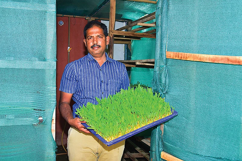 செல்வகுமார்
