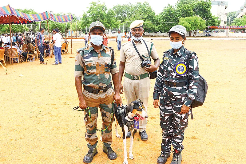 கண்காட்சியில்
