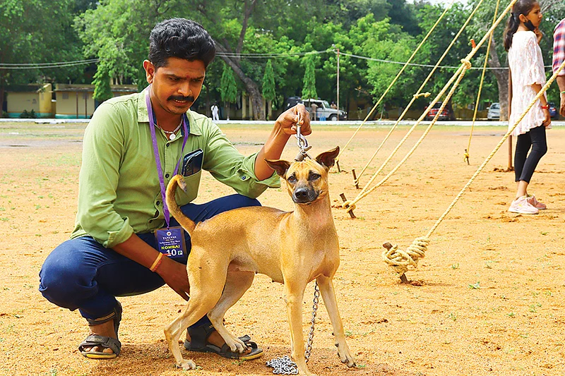 கண்காட்சியில்