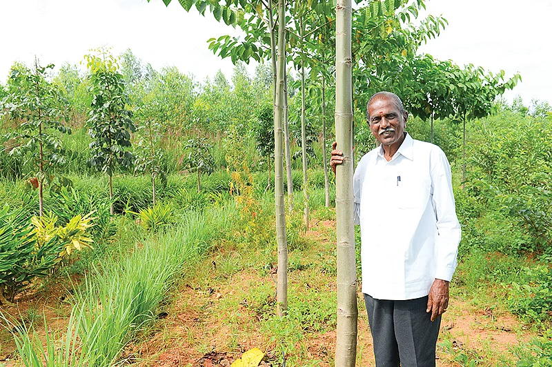தான் வளர்த்த மரங்களுடன் தேவராஜன்