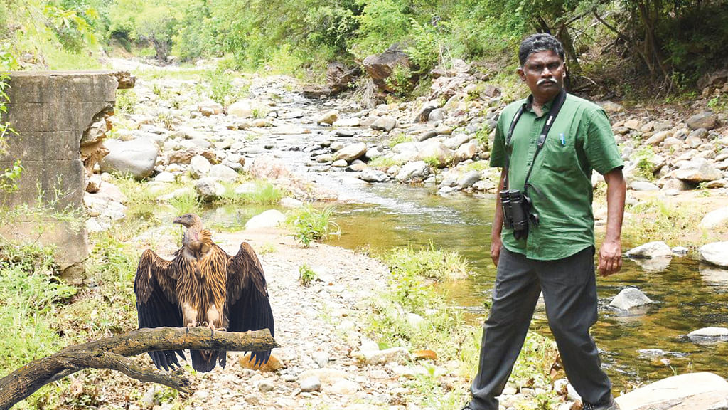பாரதிதாசன்
