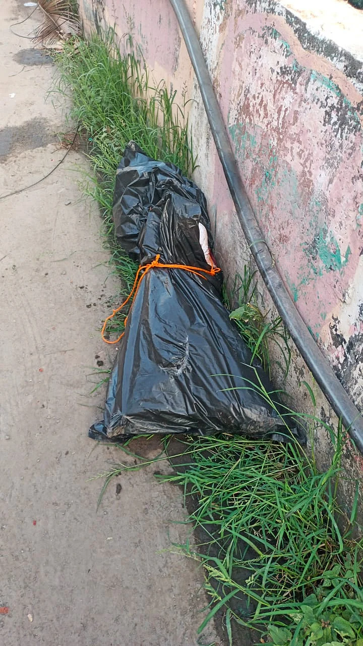சடலம்