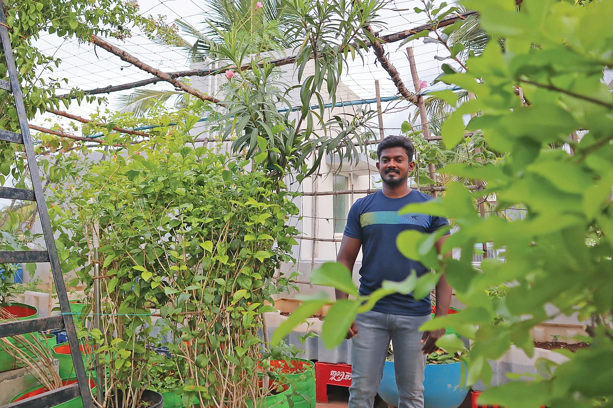 மாடித்தோட்டத்தில் ராஜேஷ்குமார்