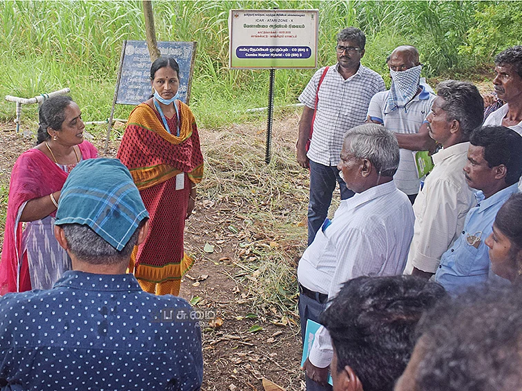 ஆடு, மாடு, கோழி, முயல், வெண்பன்றி; ஒரே நாளில் 4 கால்நடைகள்; பங்கெடுத்தவர்களைப்
பரவசமாக்கிய பயிற்சி!