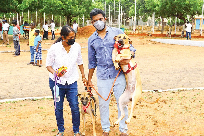 கண்காட்சியில்