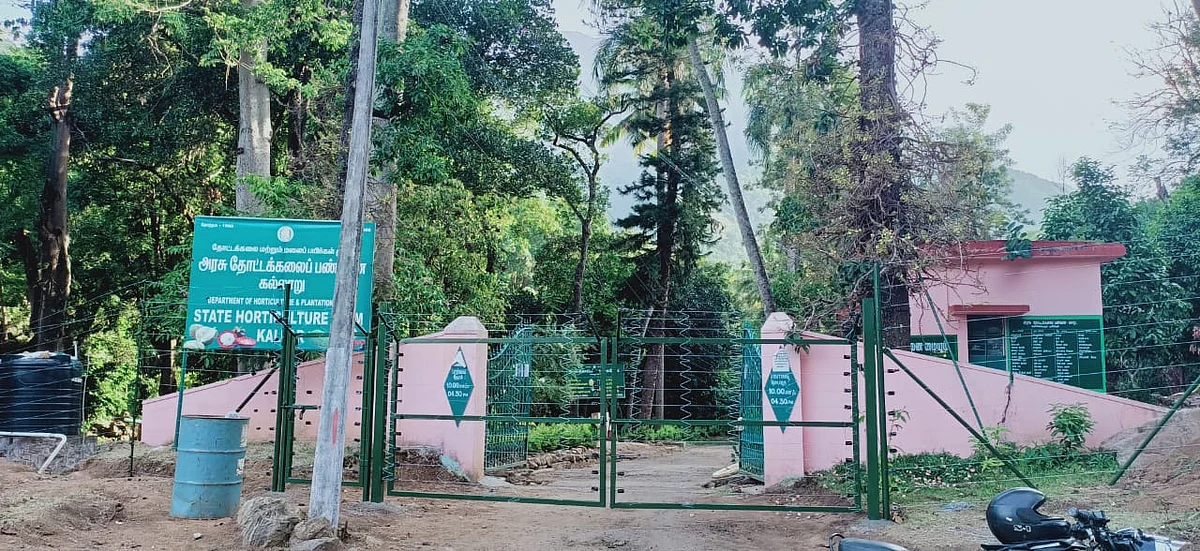 கல்லாறு பழப்பண்ணை