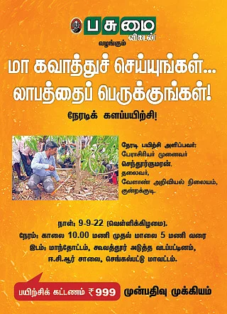 மா கவாத்துச் செய்யுங்கள்... லாபத்தை பெருக்குங்கள்!