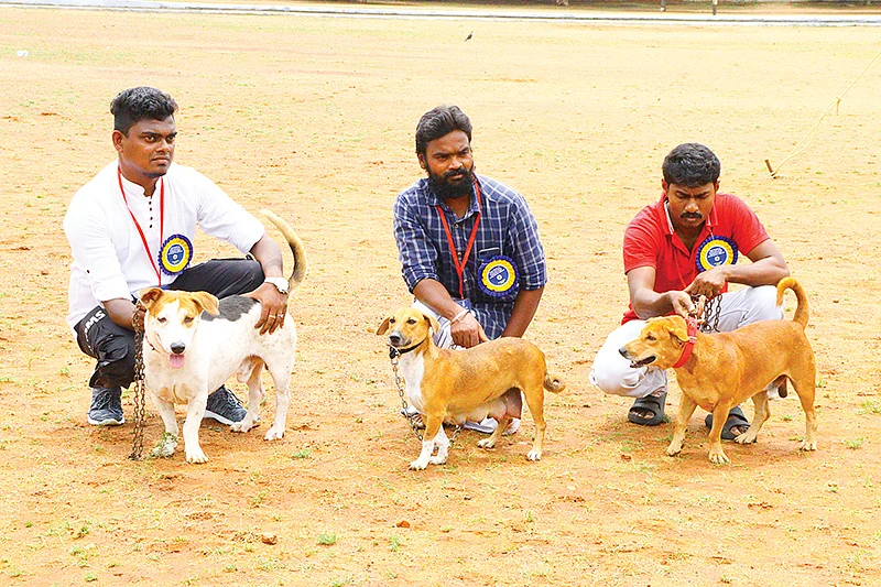 ராப்ரின்(இடதுபுறம் முதலில் அமர்ந்திருப்பவர்)