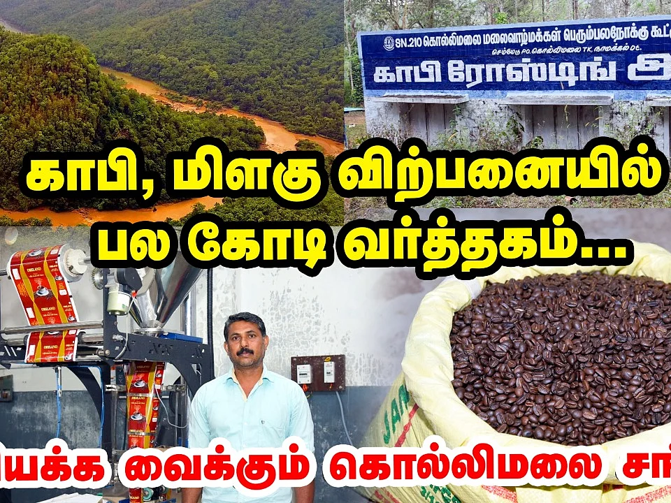 மிளகு சாகுபடியில லட்சக்கணக்குல சம்பாதிக்க முடியுமா? -கொல்லிமலை ஆச்சர்யங்கள்!