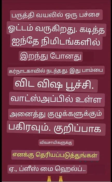 வாட்சாபில் வந்த தகவல்