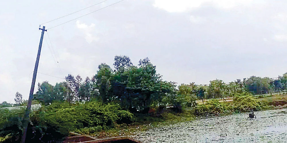 லோக்கல் போஸ்ட்