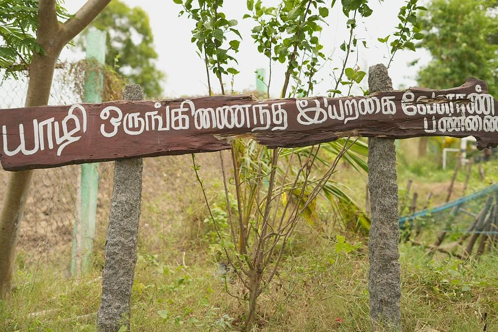 இயற்கை விவசாயம்
