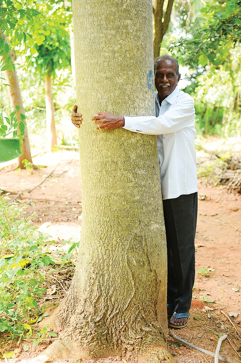நன்கு வளர்ந்த மரத்துடன் தேவராஜன்