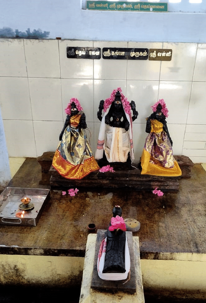 ஸ்ரீகல்யாண முருகன்