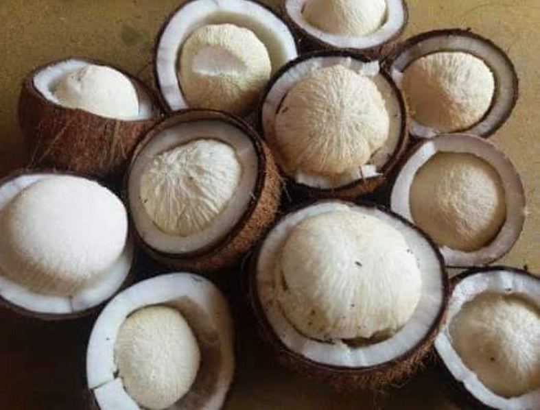 தேங்காய் பூ