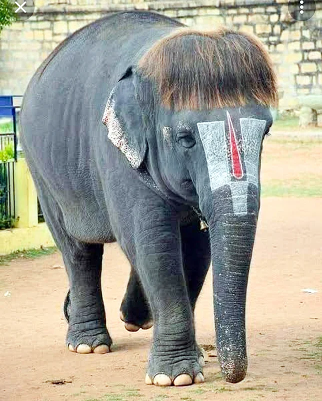 இன்பாக்ஸ்