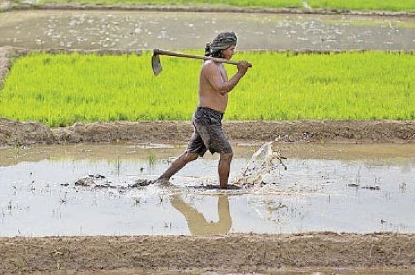 இந்தியாவில் ஒருவர் எவ்வளவு விவசாய நிலம் வைத்திருக்கலாம்... 
தமிழ்நாட்டில் எவ்வளவு தெரியுமா?