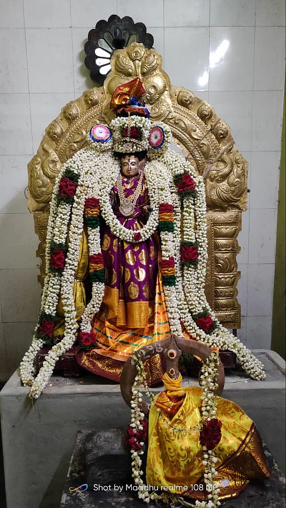 கோடியம்மன்
