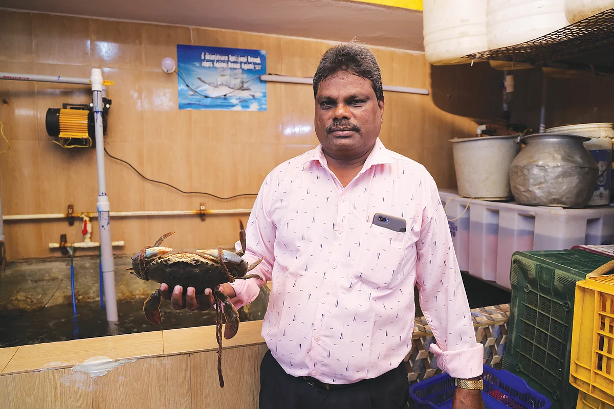 தொழிலாளி to முதலாளி... லாப்ஸ்டர் ஏற்றுமதியில் கலக்கும்
காசிமேடு பிசினஸ்மேன்!