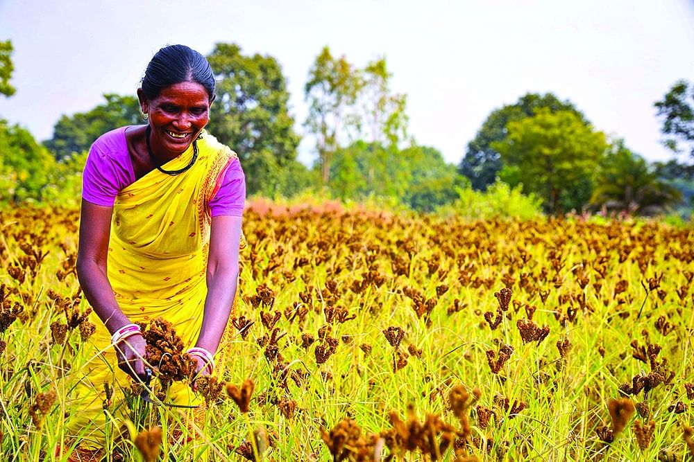 தமிழ் நெடுஞ்சாலை - 12 - வரகும் தினையும்...