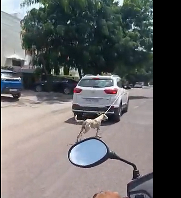 நாயை காரில் கட்டி இழுத்துச் சென்ற கொடூரம்... வைரலான வீடியோ; டாக்டர் மீது எஃப்.ஐ.ஆர்!