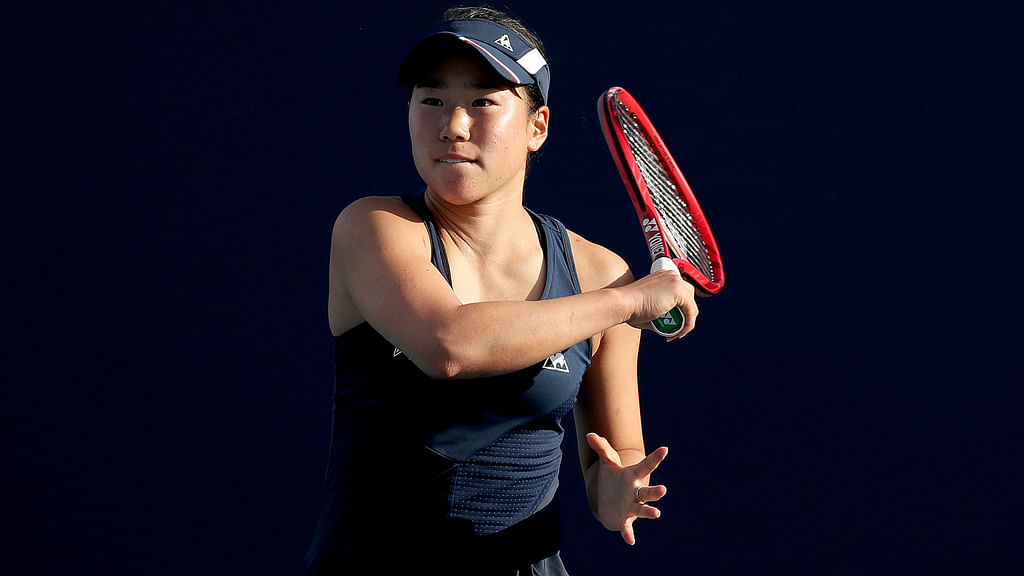 N.Hibino