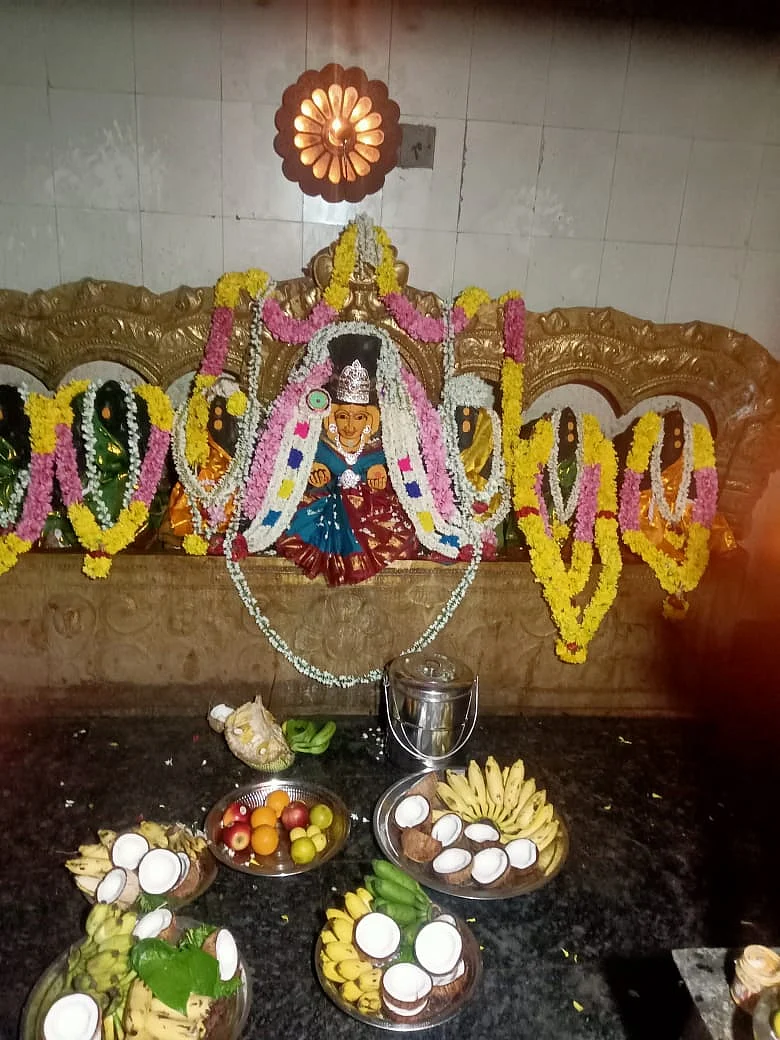 கோடியம்மை