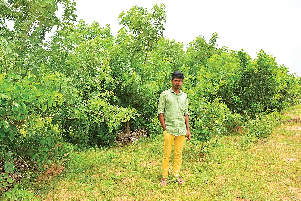 மீட்டெடுக்கப்பட்ட காட்டில் ஶ்ரீகாந்த்