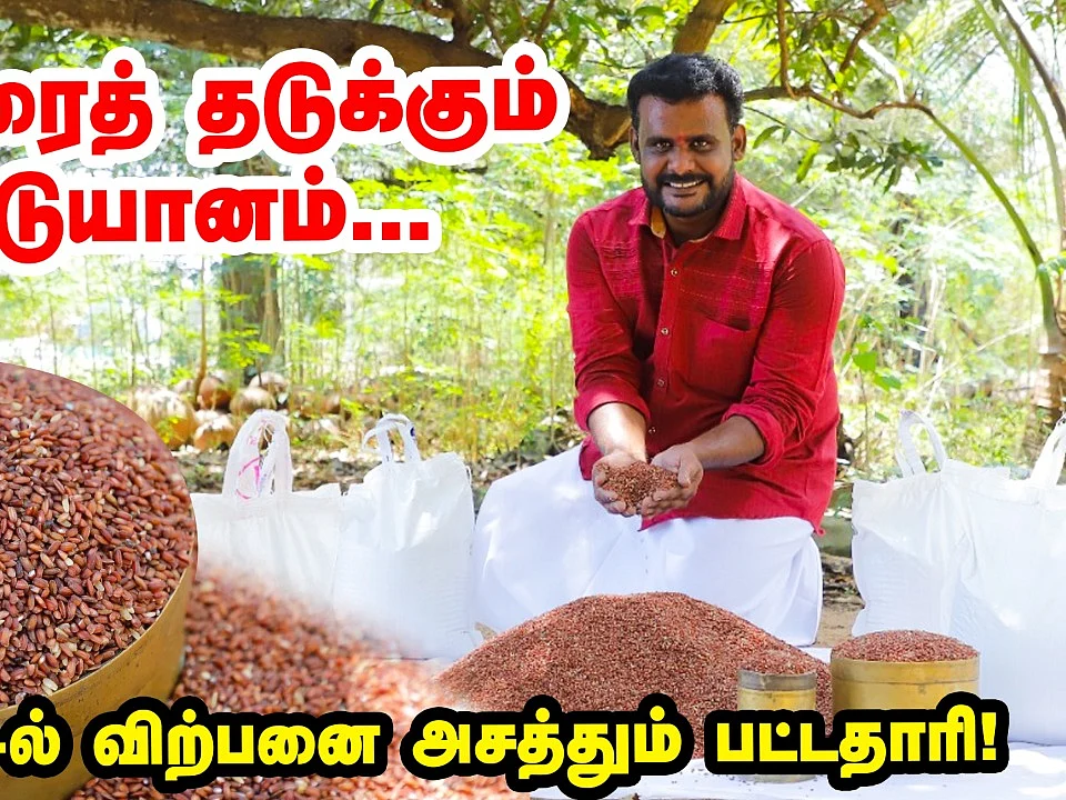 கேன்சரைத் தடுக்கும் காட்டுயானம்; ஆன்லைன் விற்பனையில் அசத்தும் இளைஞர்!