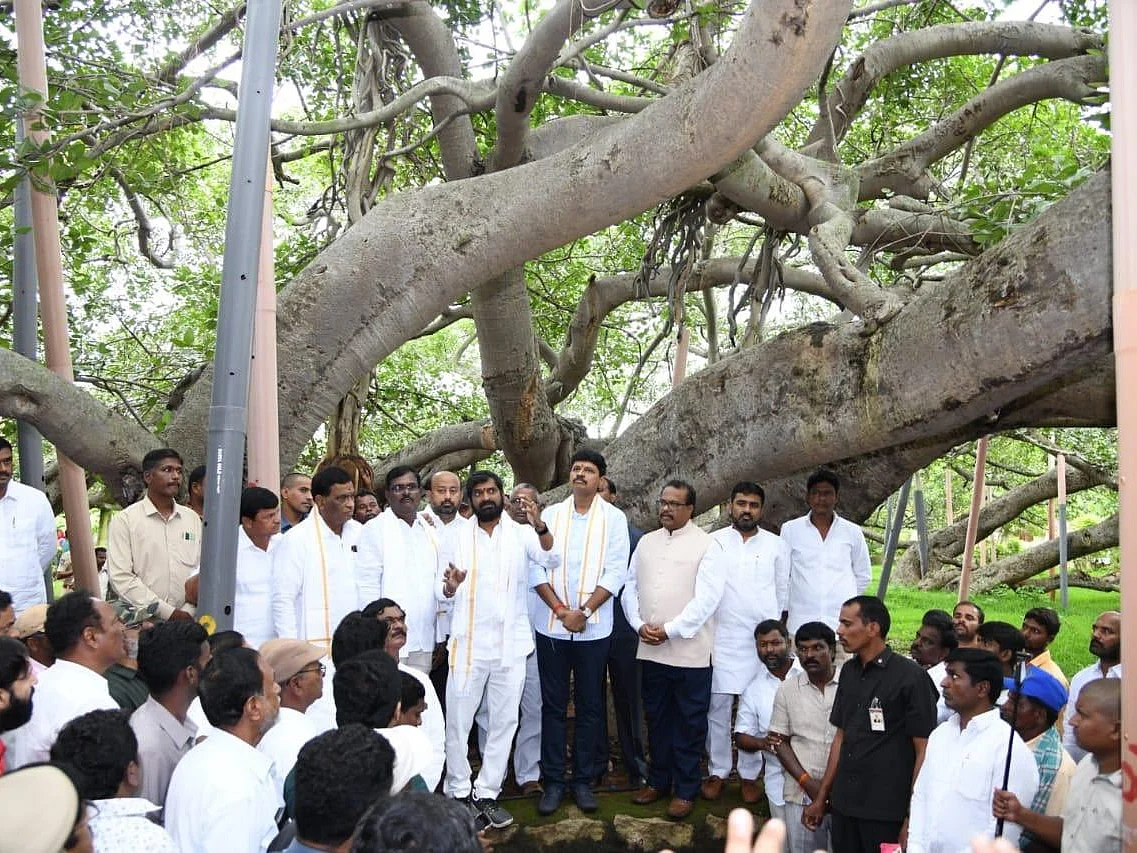 ஆசியாவில் இரண்டாவது பெரிய ஆலமரம்... 800 ஆண்டுகள் பழைமை - ரூ.2 கோடி நிதி ஒதுக்கிய எம்.பி!