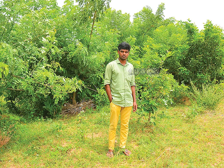 ஒரு காடு காணாமல் போன கதை... மீட்டெடுத்த இளைஞரின் பசுமை பயணம்!