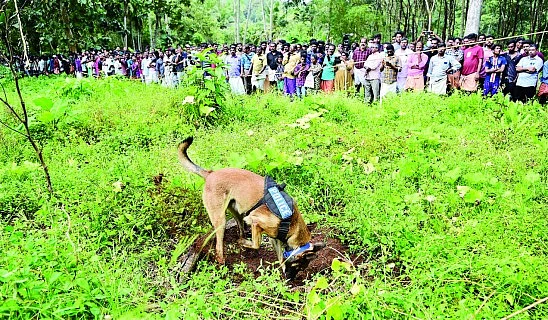 நரபலி கொடுக்கப்பட்ட வீட்டு வளாகத்தில் மோப்ப நாய் சோதனை