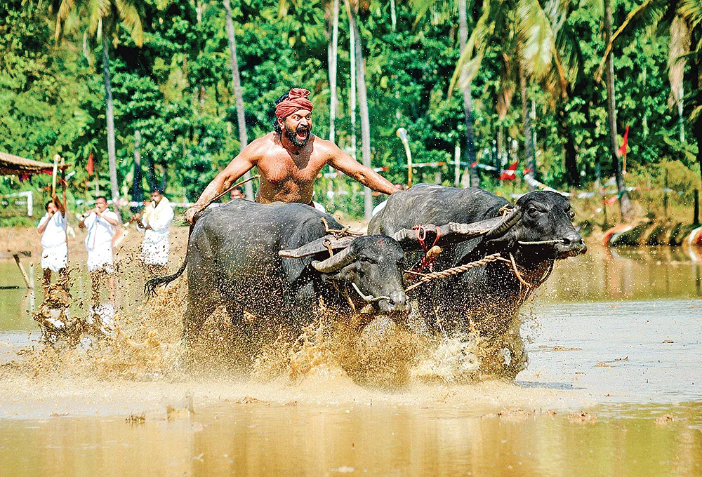 “நம் மண்ணோட கதையை மக்கள் ரசிப்பாங்க!”
