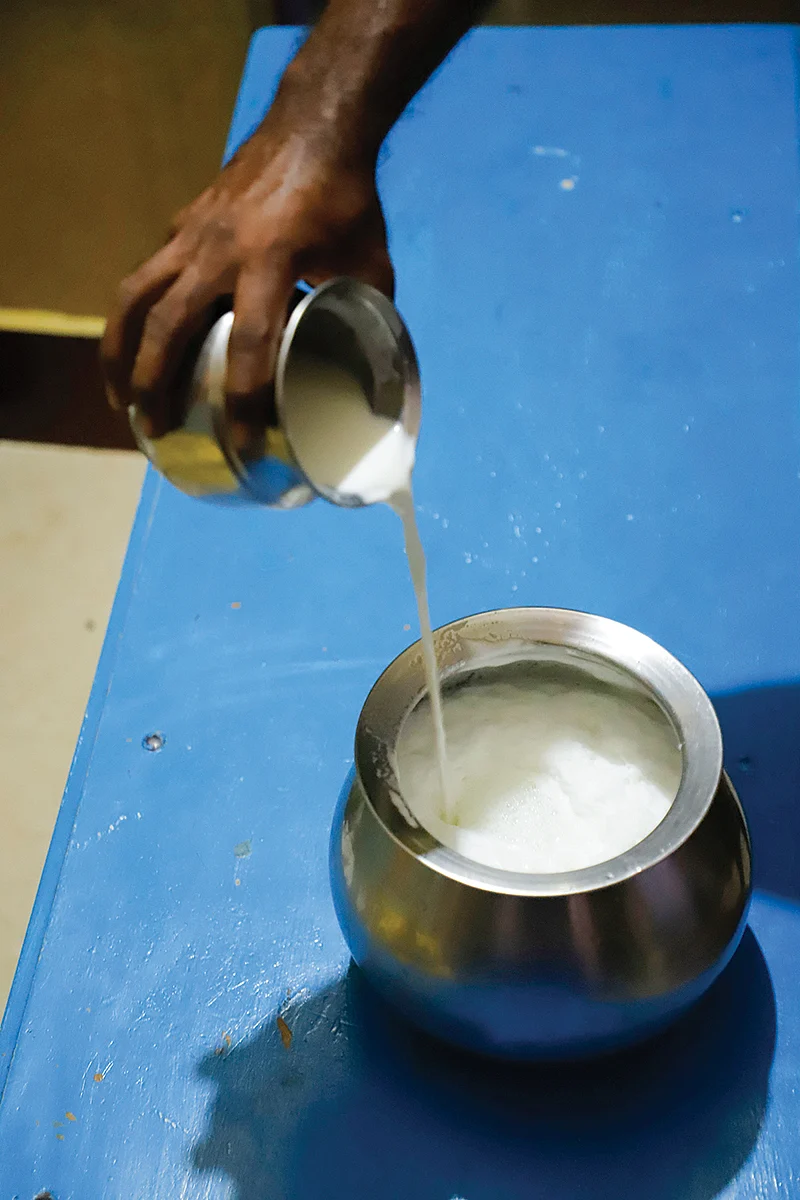 எருமைப்பால்