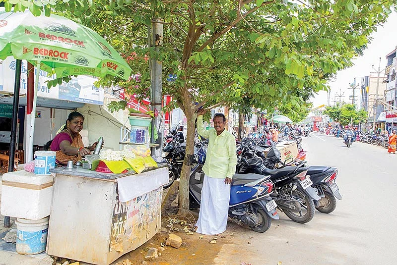 சாலையில் நட்ட மரங்களுடன்