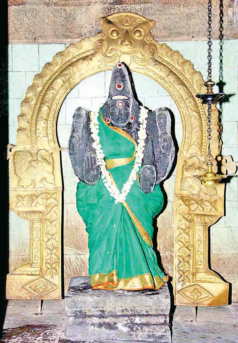 நீலமலர்க்கண்ணி