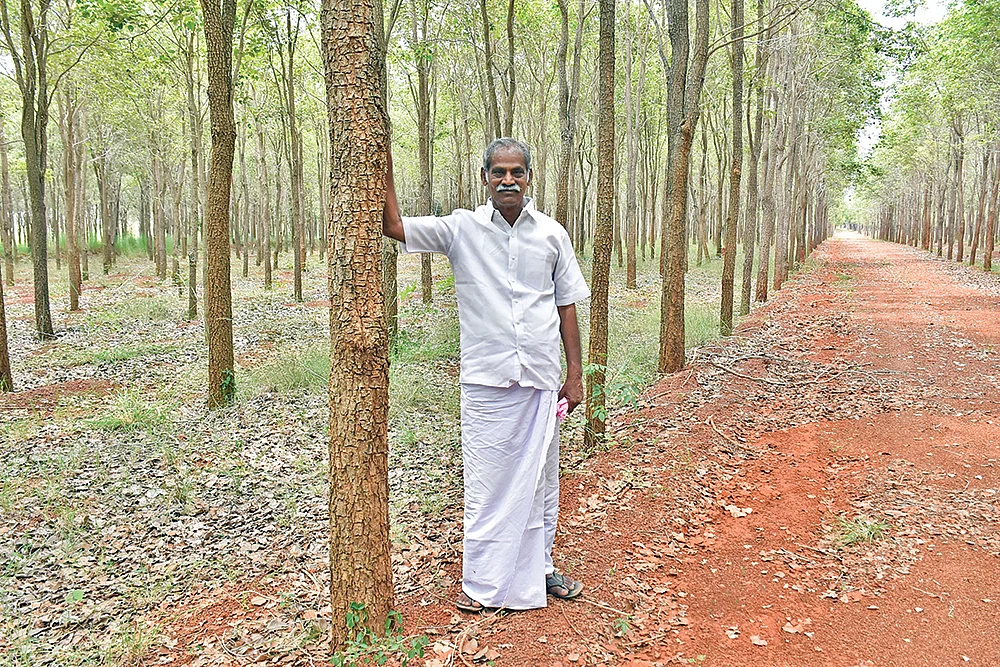 செம்மரத் தோட்டத்தில் ராமன்