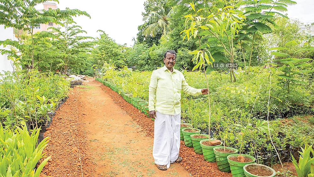 மரக்குழந்தைகளுடன் ராஜா