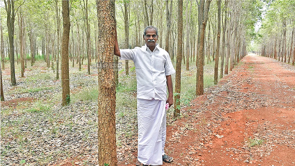 செம்மரத் தோட்டத்தில் ராமன்