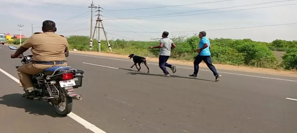 மோப்பநாய் சோதனை