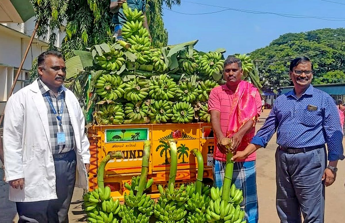 ``2.50 டன் வாழைப்பழம்” மருத்துவக்கல்லூரி மருத்துவமனைக்கு இலவசமாக வழங்கிய தஞ்சை விவசாயி..!