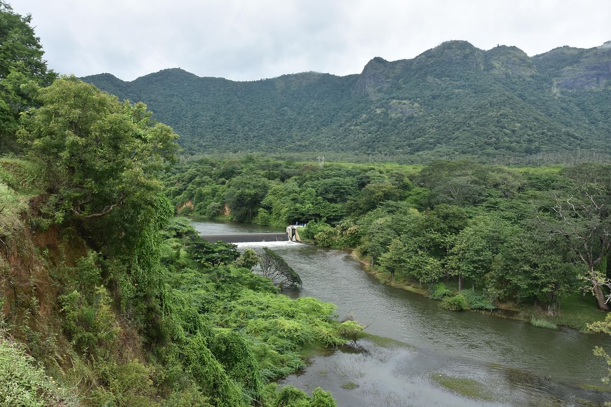லோயர் கேம்ப் முல்லை பெரியாறு 