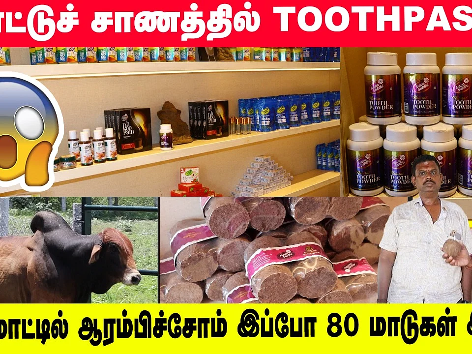 மாட்டுச் சாணத்தில் Toothpaste- ஆ... மாடு வளர்ப்பில் மகத்தான லாபம்!
