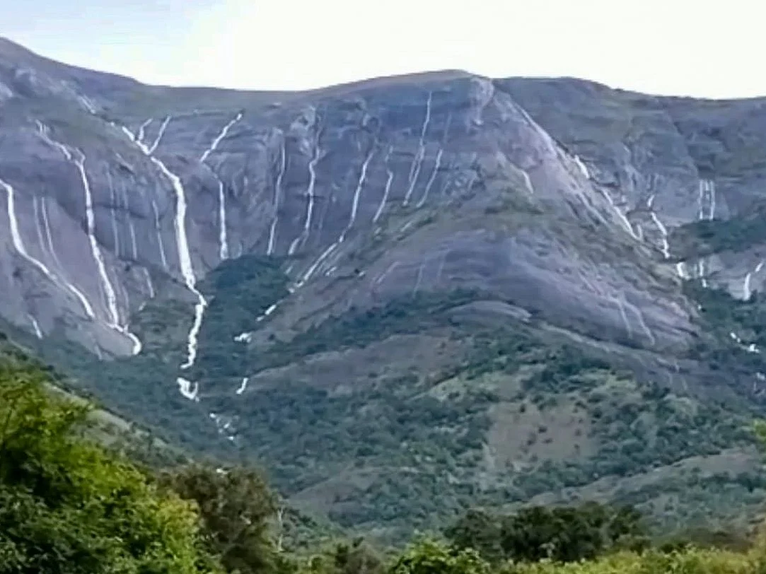 ஸ்ரீவில்லிப்புத்தூர்: வனப்பகுதியில் ஒற்றைகாட்டுயானை... பொதுமக்கள் அச்சம்!