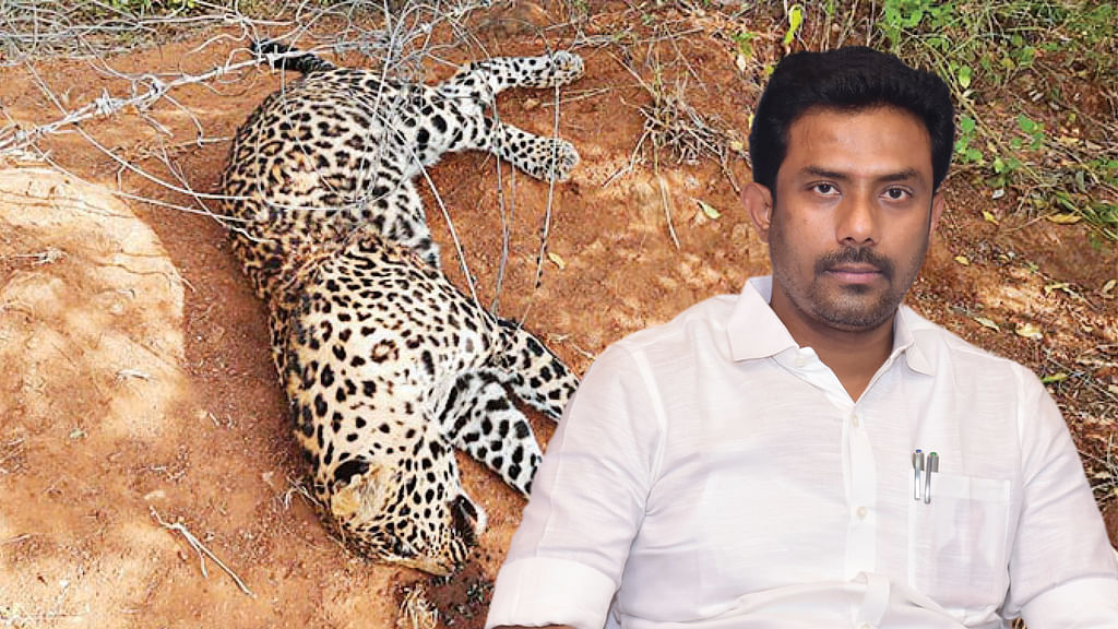 ஓ.பி. ரவீந்திரநாத்