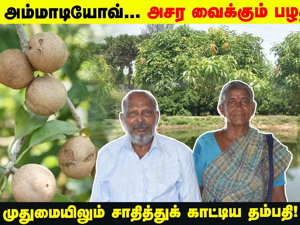 அம்மாடியோவ்... அசர வைக்கும் பழத்தோட்டம்; முதுமையிலும் சாதித்துக் காட்டிய தம்பதி!