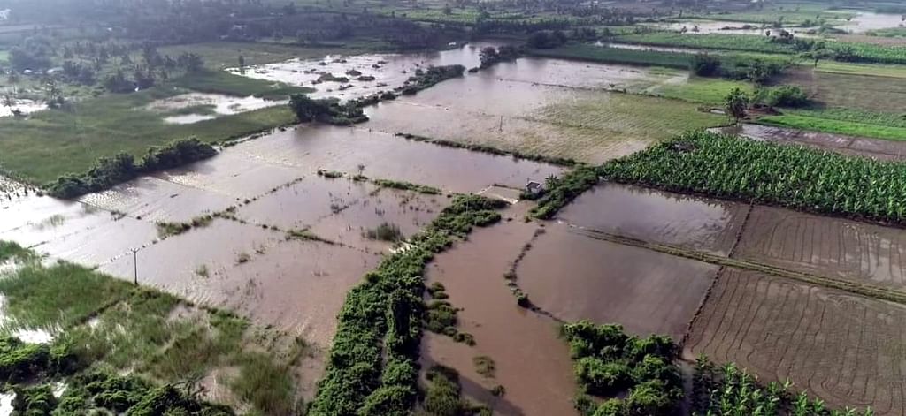 விளை நிலங்களில் புகுந்த வரட்டுப்பள்ளம் அணையின் உபரிநீர்.