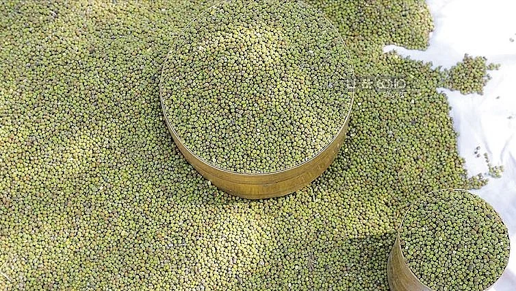 பச்சைப்பயறு