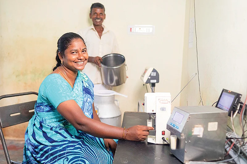 பால் வாங்கும் பணியில்