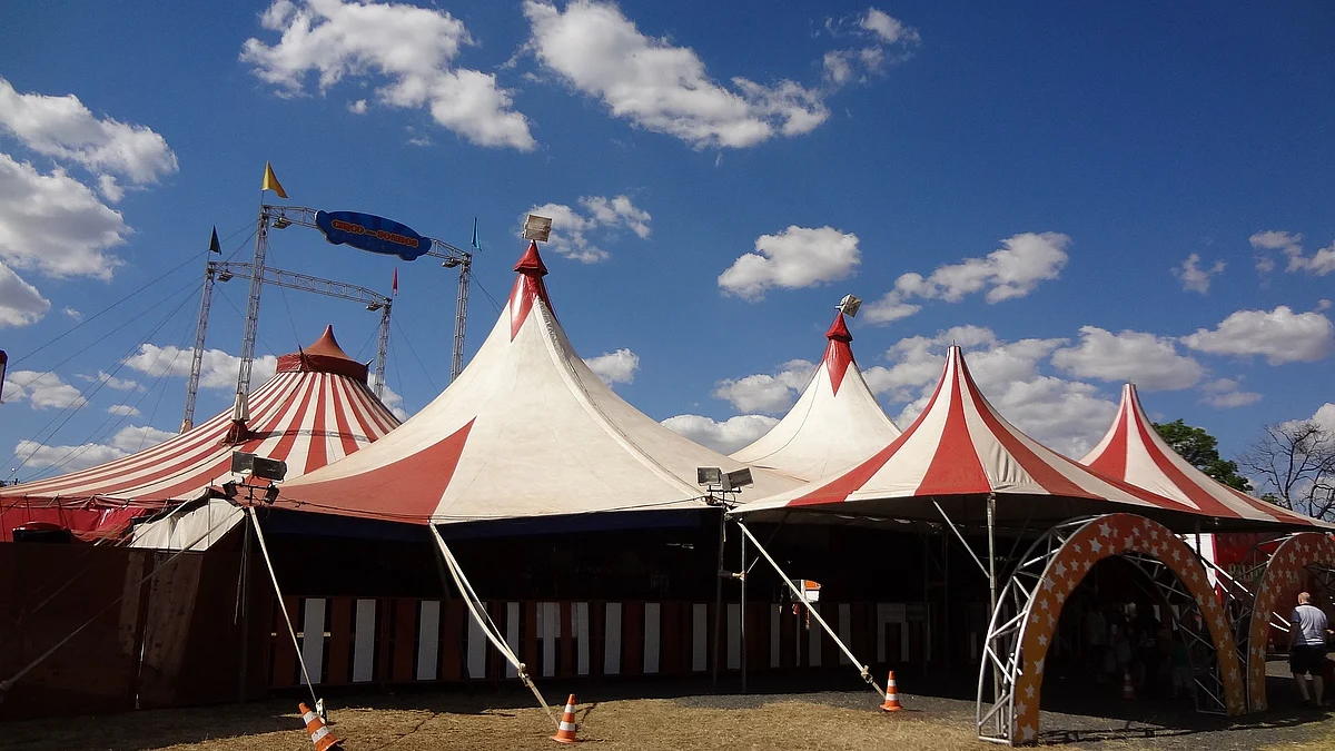 Circus